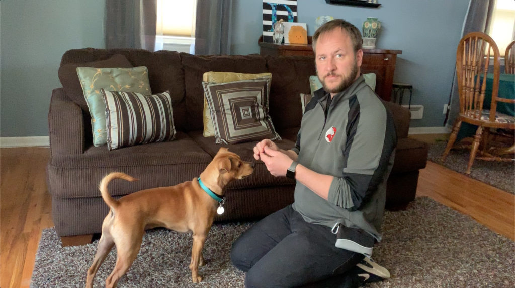 David with Oliver - Proven Dog Trainer Offering Dog Behavior Help in Los Angeles